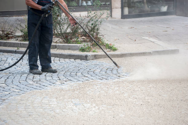 Best Sidewalk and Walkway Cleaning  in North Hills, NY